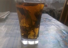 Ledový čaj