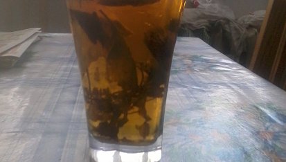 Ledový čaj