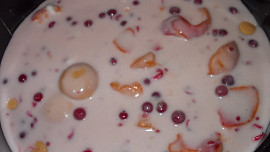 Smetanovo-tvarohový dort s rybízem a meruňkami