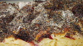 Švestkový koláč s mákem a ořechy