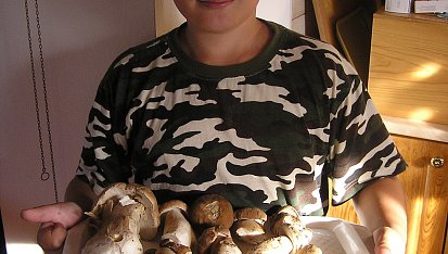 Vepřová játra na houbách a cibulce s fazolkami