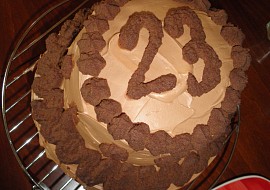 Čokoládový dort (zdobený pařížskou šlehačkou)