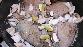 Houbařův sen
