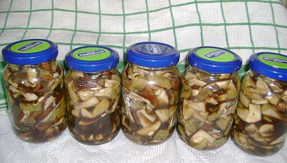 Houby ve vlastní šťávě II.
