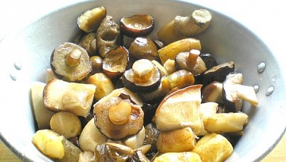 Houby ve vlastní šťávě II., ZMRAZENÉ HOUBY