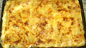 Lasagne s lilkem
