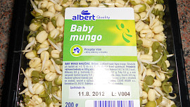 Mungo salát