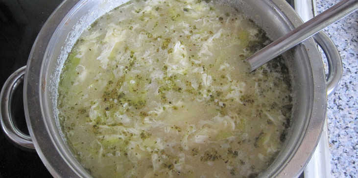 Polévka  s pórkem a žampionovým sýrem
