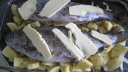 Pstruh na cibuli a bramborách