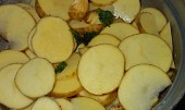 Nové  brambory, zapečené v  okořeněné  zakysané smetaně