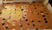 Tvarohovo-hroznový koláč