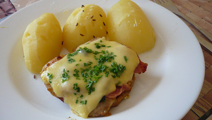 Veselý kuřecí plátek