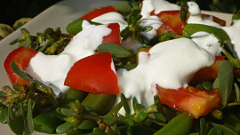 Fazolkový salát s rajčaty a šruchou