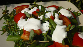 Fazolkový salát s rajčaty a šruchou