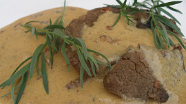 Hovězí s estragonovou omáčkou