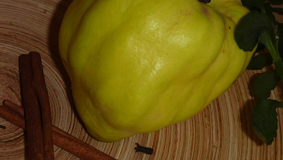 Kdoulový krém - polévka