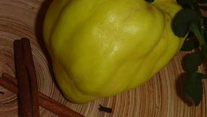 Kdoulový krém - polévka