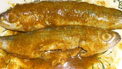 Okáč obecný v pepřovo-hořčičné marinádě