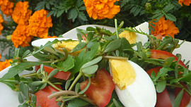 Salát  ze šruchy a rukoly