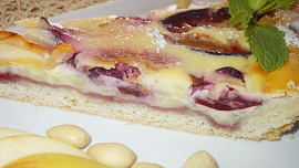 Smetanovo-pudingový koláč  s ovocem