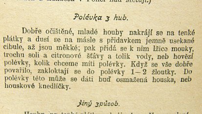 Starodávná polévka z hub