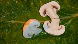 Těstoviny s mangoldem  a žampiony