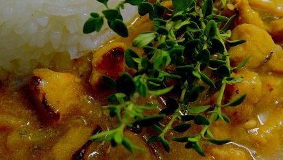 Vepřové ragú na citronovém tymiánu, Vepřové ragú na citronovém tymiánu