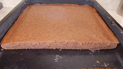 Cuketová buchta, tohle zůstalo než jsme se vrátili z lesa doma 2 kluci :-)