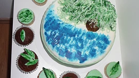 Dort s vrbou + cupcakes