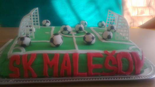 Fotbalové hřiště konec sezony 2012/13