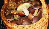Houby na smetaně s brambory (+ houby na zimu)