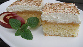 Kokosový jablečník