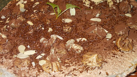 Oplatkový dort lázeňského šviháka