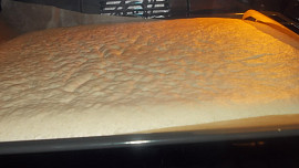 Roláda s pařížským krémem, oříšky, datlemi a brusinkami