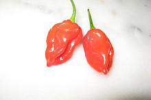 Habanera