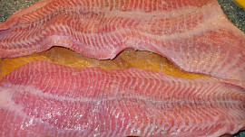 Sumec, zapečený s fazolkami a bramborami