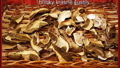 Sušené houby z trouby, sušené hříbky z radiátoru