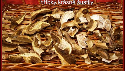 Sušené houby z trouby, sušené hříbky z radiátoru