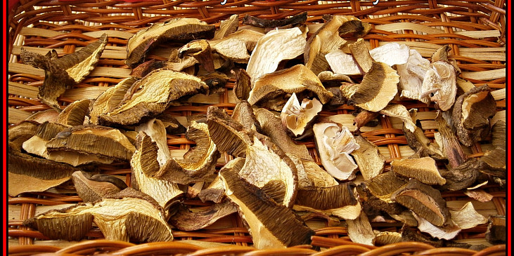 Sušené houby z trouby (sušené hříbky z radiátoru)