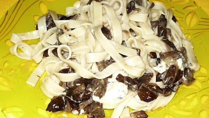 Tagliatelle con funghi (Nudle s houbami)