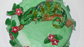 Dort chameleon jemenský