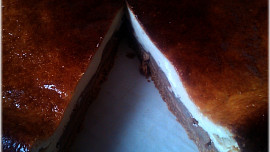 Jablečný cheesecake s karamelovou polevou