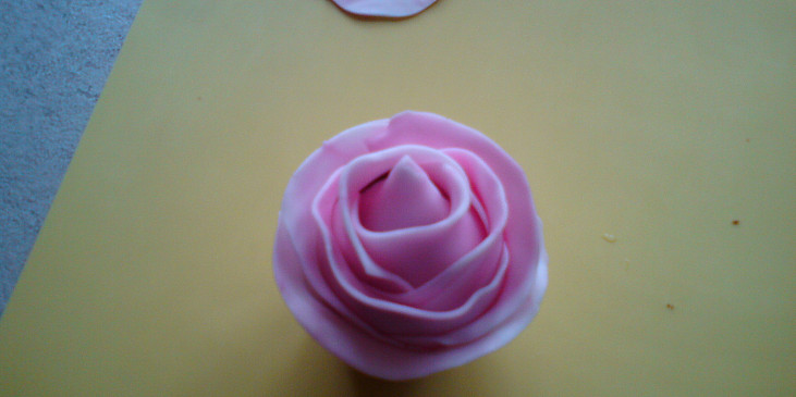 Malé růže (mini dortíky) (úplně první růže)