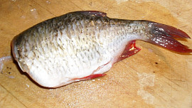 Pečená bílá ryba