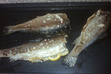 pstruh na grilu