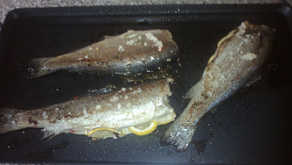 Pstruh na grilu, pstruh na grilu