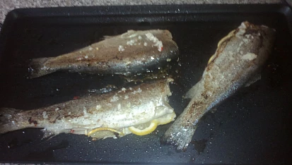 Pstruh na grilu, pstruh na grilu
