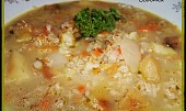 Syrovátková polévka se zeleninou a ovesnými vločkami (Syrovátková polévka se zeleninou a ovesnými vločkami)