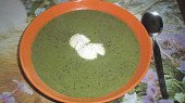 Brčálník – špenátová polévka