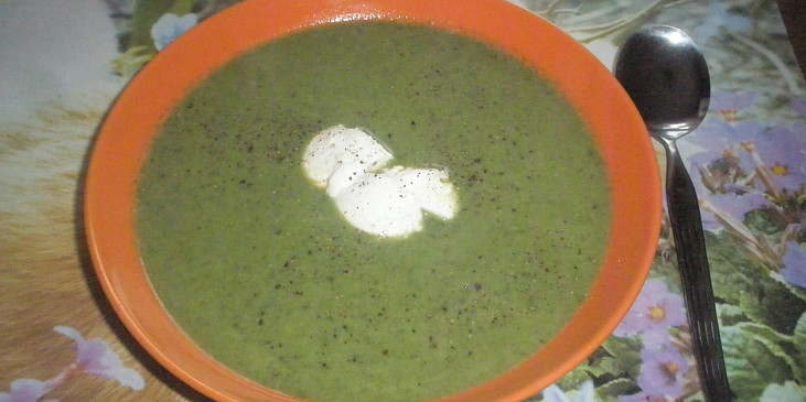 Brčálník – špenátová polévka